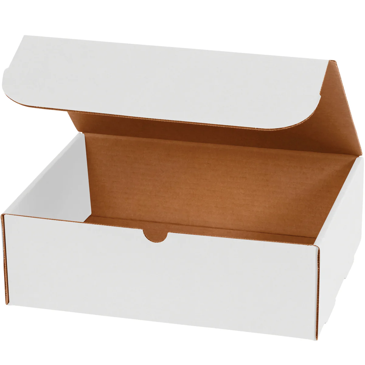 12 1/8 x 9 1/4 x 4 White Literature Mailers 50/Bundle