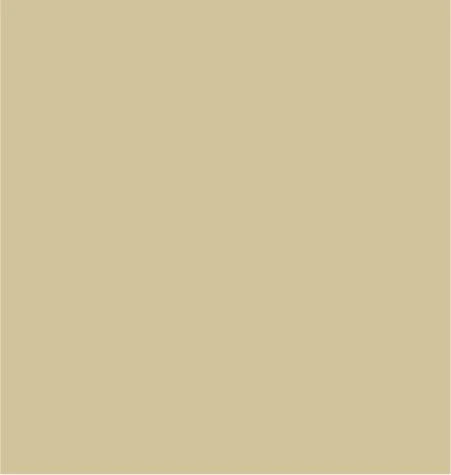 24" x 417 Feet Gold Half Ream Gift Wrap