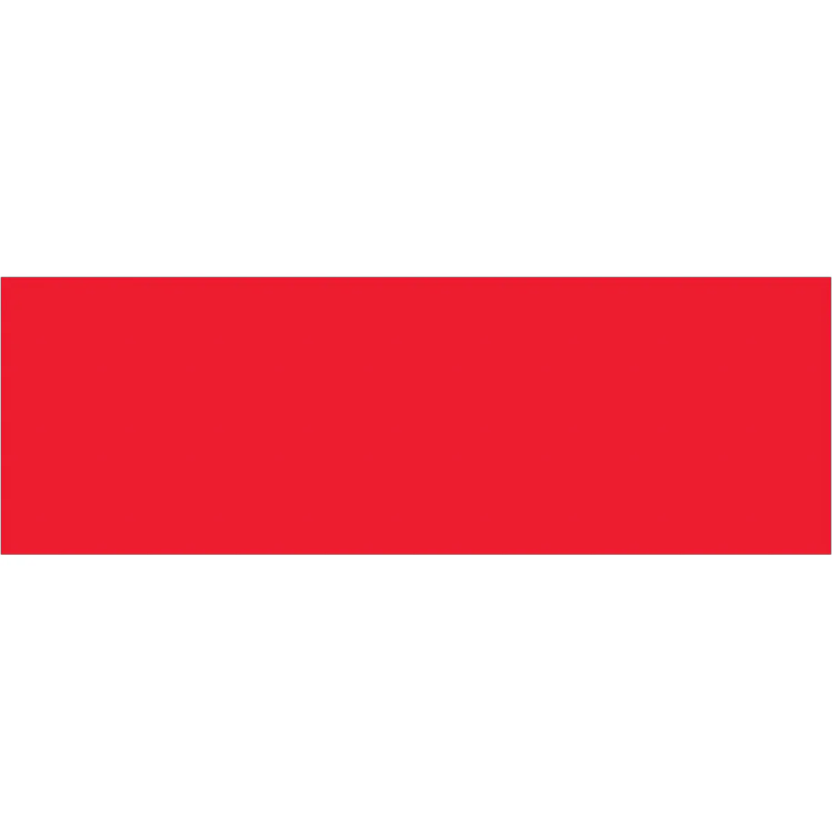 3 x 9" Fluorescent Red Inventory Rectangle Labels 250/Roll