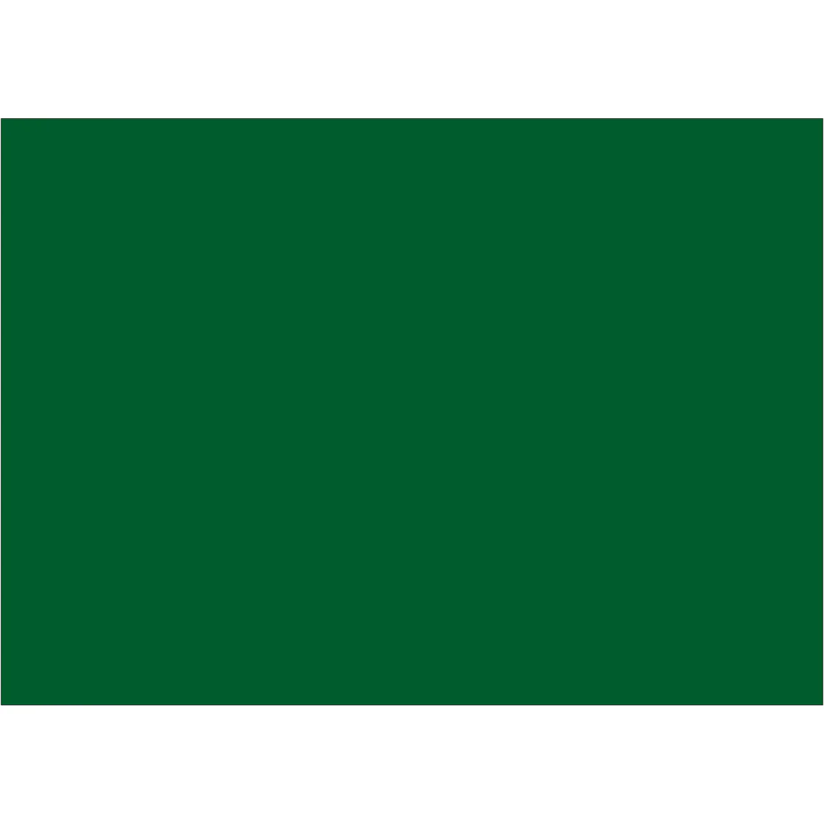 5 x 7" Green Inventory Rectangle Labels 500/Roll