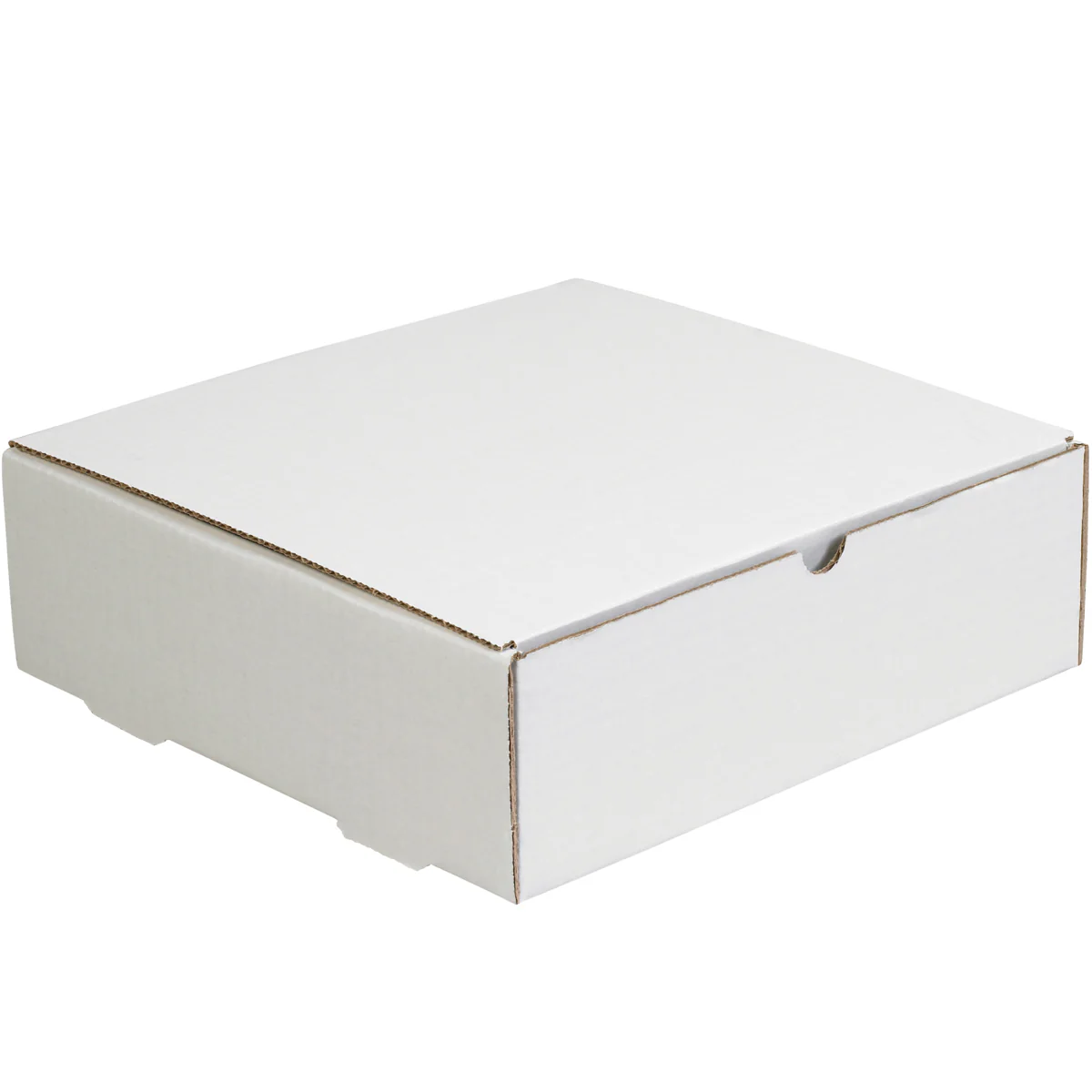 8 x 8 x 2 White Literature Mailers 50/Bundle
